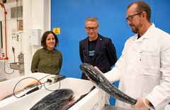Superkjøling gir en vinn-vinn situasjon, sier Stine Torheim, fabrikksjef ved Grieg Seafood i Alta. På besøk hos Nofima sammen med statsråd Odd Emil Ingebrigtsen og forsker Bjørn Tore Rotabakk. Foto: Rune Stoltz Bertinussen / Nofima