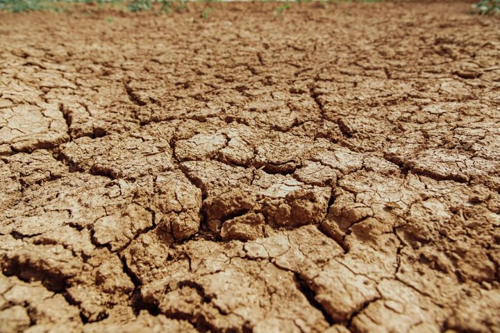 Det tørre klimaet gjør det vanskelig å produsere mat. Foto: Kristoffer Nyborg for Utviklingsfondet