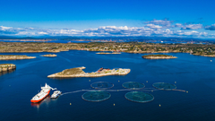 En rekke norske fjord- og kystkommuner legger til rette for oppdrettsnæringen. Foto: NFKK