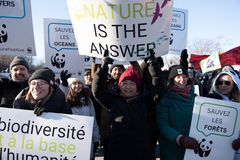Flere tok til gatene under forhandlingene i Montreal for å kreve en sterk og ambisiøs naturavtale. Foto: Holly Chapman / WWF