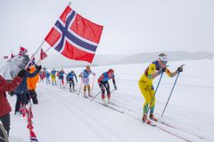 Reistadløpet 2022. Foto: Stina Guldbrandsen / UiT