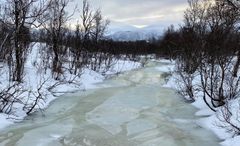 Her ser vi tidlig snøsmelting i Storelva i Tromsø kommune (Foto: NIVA).