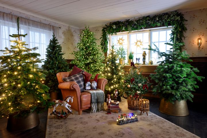 Juletreet er like viktig – Åtte av ti nordmenn oppgir at de planlegger å ha juletre i år.