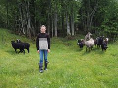 – Ved å bruke norskprodusert garn når du strikker eller hekler, er du med på å styrke norsk sauehold og tekstilindustri, sier forsker Ingun Grimstad Klepp. Foto fra boken.