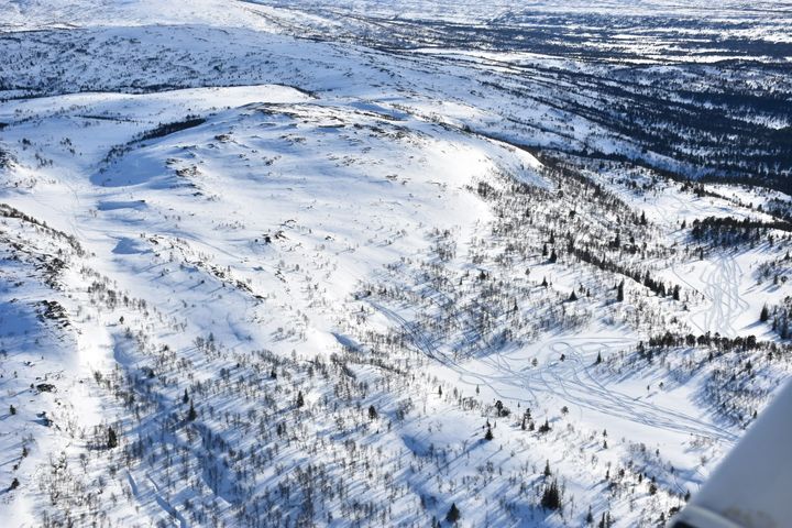 Spor etter ulovlig skuterkjøring i Budal i april i år. Foto: Statens naturoppsyn/Miljødirektoratet