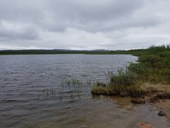 Stuorajávri i Finnmark er en av innsjøene i svært god tilstand. Foto: Terje Bongard, NINA