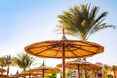 Egypt