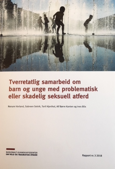 Ny Rapport Om Hjelpetilbudet Til Barn Og Unge Med Skadelig Seksuell ...