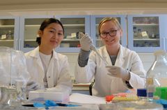 Studentene Linda Thuy Dieu Ngo (til venstre) og Hege Hovland tilbringer time etter time i laboratoriet. Foto: Eivind Torgersen/UiO