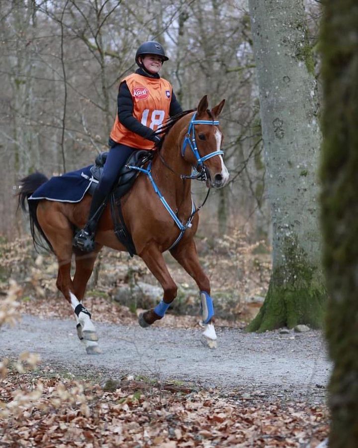 Malene Bergersen Bakken debuterte i 2* juniorklasse og red 12 mil på hesten Shanameh. Det holdt til seier. Foto: Alf Magne Sjøveian