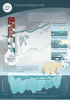 Eksempel på et faktaark som "Arven etter Nansen" produserer. Dette faktaarket er om temaet havis. Det produseres også faktaark om f.eks. biodiversitet, havforsuring, og værvarsel i Arktis.