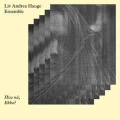 Cover: Liv Andrea Hauge Ensemble - "Hva nå, Ekko?"