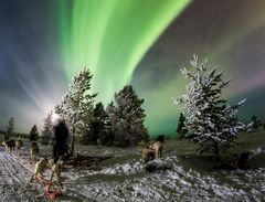 På jakt etter nordlyset sammen med huskier. Foto: Snowhotel Kirkenes