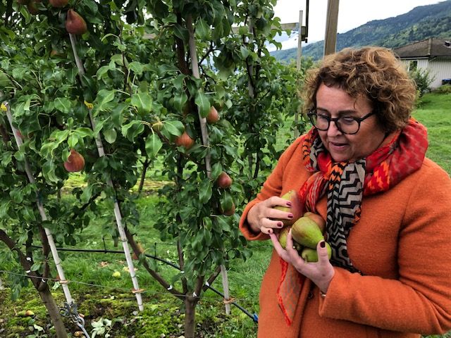 Landbruks- og matminister Olaug Bollestad tek seg gjerne ei Celina-pære. Foto: Landbruks- og matdepartementet