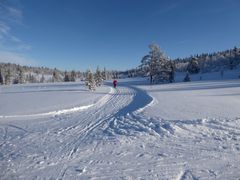 Det er god plass i skiløypene mange steder og lett å holde forskriftsmessig avstand. Foto: Audun Bringsvor