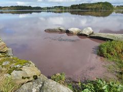 Hålandsvatnet har i lang tid blitt tilført store mengder næringsstoffer. Det har ført til overgjødsling, og årlig masseoppblomstring av blågrønnalger (cyanobakterier). Foto: Ørjan Simonsen.