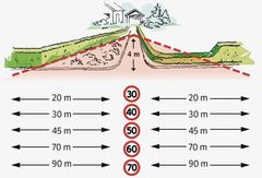 Krav til fri sikt avhenger av fartsgrensen. Illustrasjon: Statens vegvesen