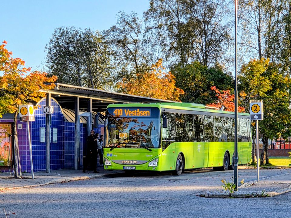 shutterstock_2682702517_Buss Nannestad_foto_Nor Pixels.jpg