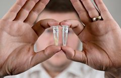 Gareth Difford har undersøkt genetikken bak slimceller, som han har i prøver av i slike rør. Foto: Jon-Are Berg-Jacobsen © Nofima.