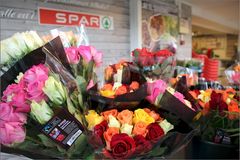 Fairtrade-sertifiserte roser