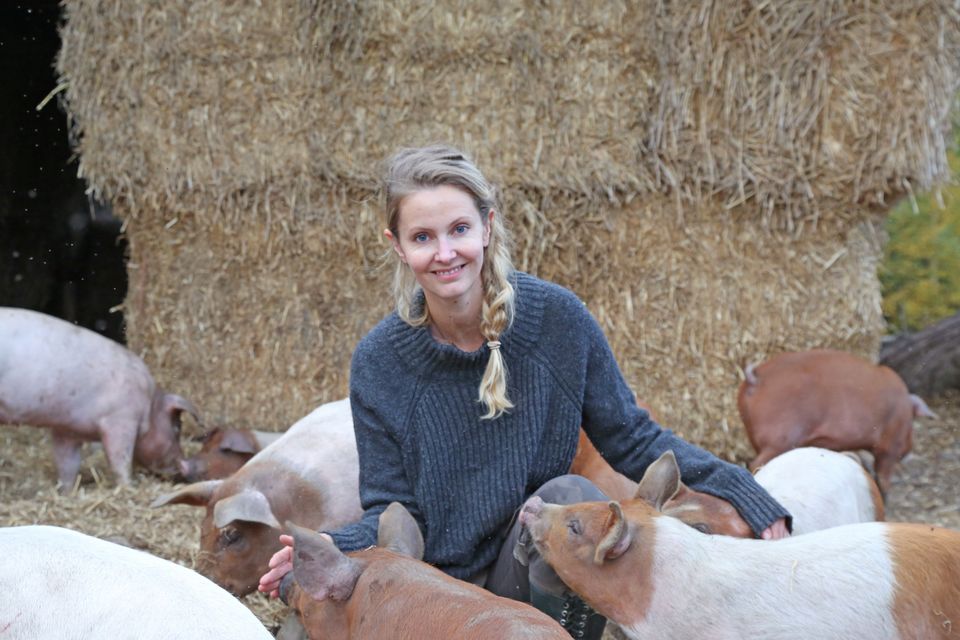 Veterinær Helle Haukvik_41920002154_o_FOTO IselinLH