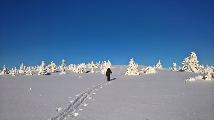 Foto: Rune Larsen/MET