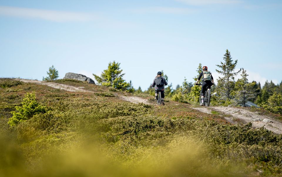 sykkelsommer_web-3