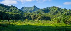 Cookøyene er som Hawaii for 40-50 år siden mener Martin Dahl Jespersen i Stillehavsspesialisten Fijireiser.