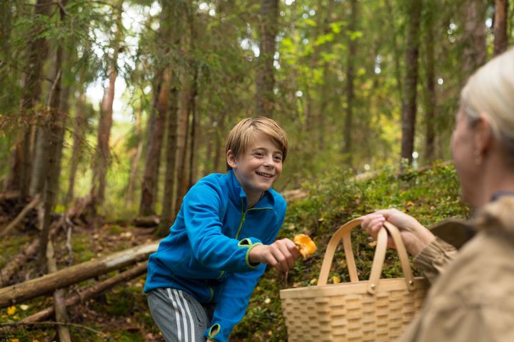 SOPPTUR: Er en fin unnskyldning for å komme seg ut i skogen, og maten smaker best når du har plukket den selv.  Foto: Paulina Cervenka