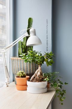 Foto: Inger Marie Grini