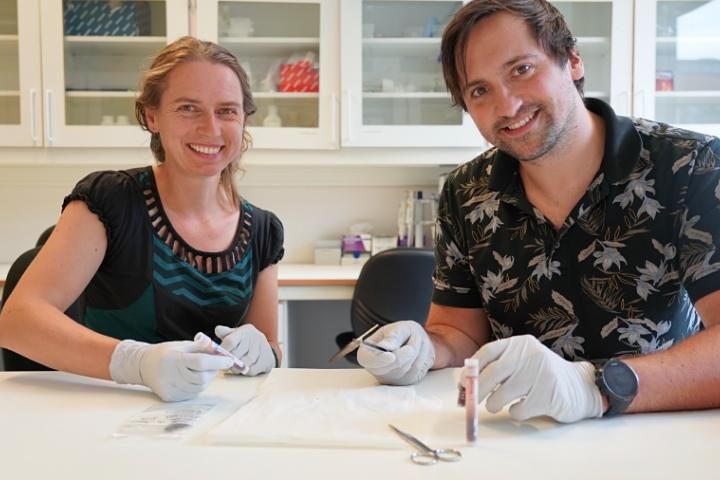 Sanne Boessenkool og Oliover Kersten ser på blodprøver og fjær for å gjøre genomanalyser.
Foto: Elina Melteig