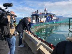 Algeoppblomstringa ramma oppdrettsnæringa i Nord-Norge. Bildet er tatt hos Mortenlaks under fiskeriminister Harald T. Nesvik sitt besøk i mai 2019.
