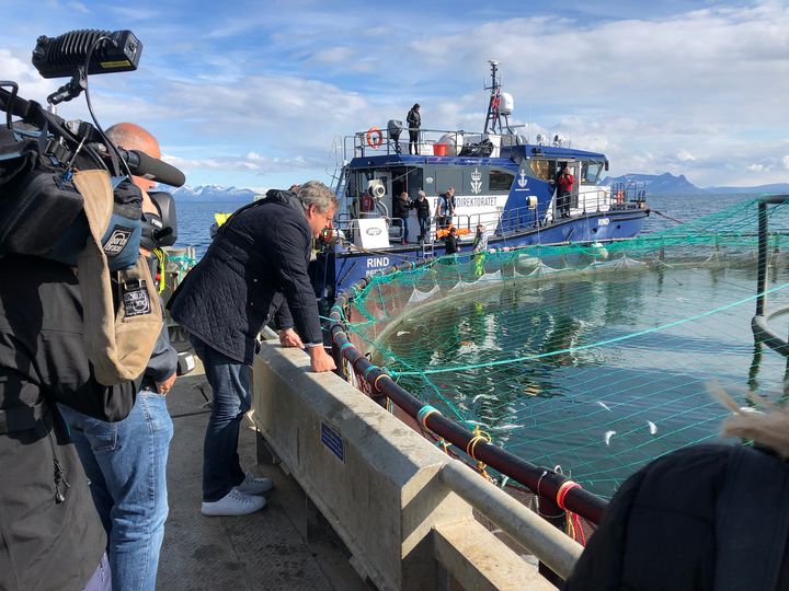 Algeoppblomstringa ramma oppdrettsnæringa i Nord-Norge. Bildet er tatt hos Mortenlaks under fiskeriminister Harald T. Nesvik sitt besøk i mai 2019.