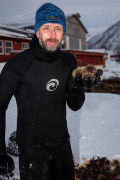 Philip James er seniorforsker og kråkebolleekspert i Nofima. Han er selv en ivrig dykker, og henter opp kråkeboller fra havbunnen utenfor Tromsø. Foto: Nofima.
