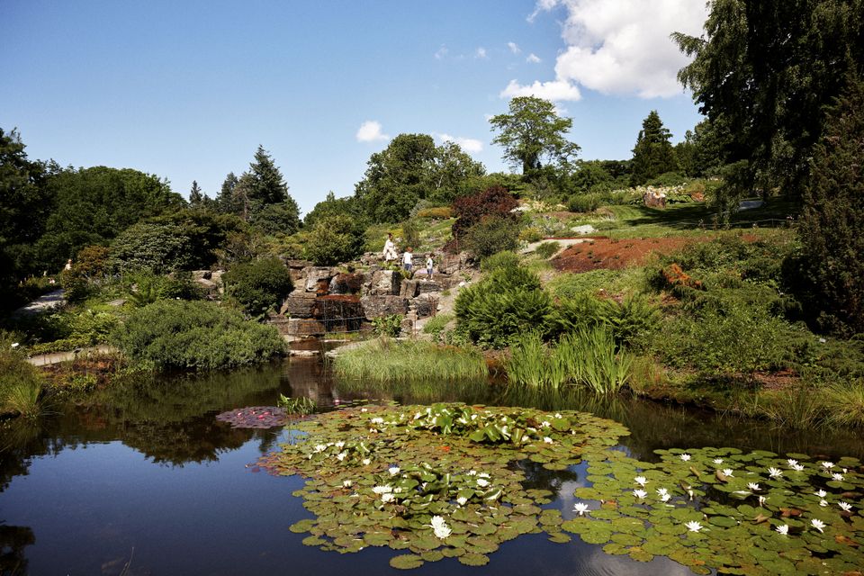 Botanisk hage_Fjellhagen