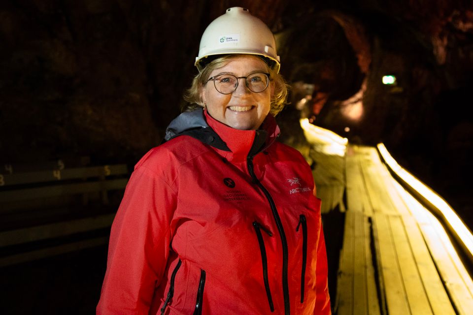 Kari Aslaksen Aasly, Avdelingsdirektør kartlegging og analyse, NGU