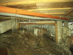 Frosten sist vinter førte til skader for over en halv milliard kroner, ifølge tall fra Finans Norge. (Foto: If)