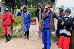 Arbeidere og tillitsvalgte i Norsk Folkehjelps partner CSAAWU, fagforeningen til vinarbeiderne i et vingård-distrikt utenfor Cape Town.