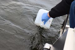 Miljødirektoratet og Havforskningsinstituttet har tatt vannprøver som brukes til miljø-DNA undersøkelser for å se etter spor av havnespy i ytre Hvaler. Foto: Pernille Stensli/ Miljødirektoratet.