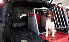 Den tryggeste måten å sikre hunden eller katten på, er å bruke et bur som er festet til anker i bagasjerommet på bilen. (NAF)