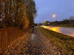 Med sykkellys blir du synlig i trafikken og farlige situasjoner kan lettere unngås. Foto: Silja Lena Løken