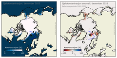 Figur 1: Til venstre: Sjøiskonsentrasjonen i Arktis for desember 2022. Blått er åpent hav, mens hvitt er 100 % is. Til høyre: avvik i prosent av iskonsentrasjonen fra normalperioden 1991-2020. Røde områder har mindre is enn normalt, mens blå har mer. Den blå boksen indikerer regionen Svalbard som vises i figur 3.