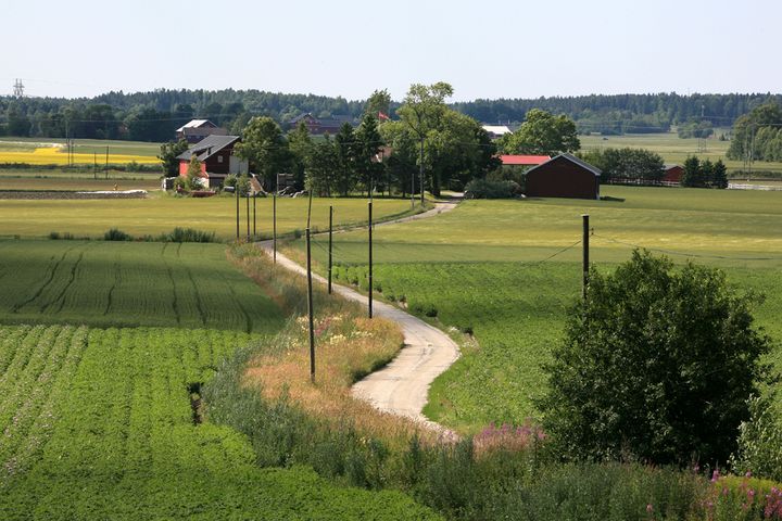 Formålet med å utarbeide kommunale jordvernstrategier er økt kunnskap om jordbruksarealene og økt oppmerksomhet rundt jordvernet. Foto: ©Oskar Puschmann/NIBIO