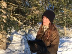 Førsteamanuensis Hanne Kathrine Sjølie mener det finnes muligheter for å forhindre så store skogskader i fremtiden (Foto: Privat)
