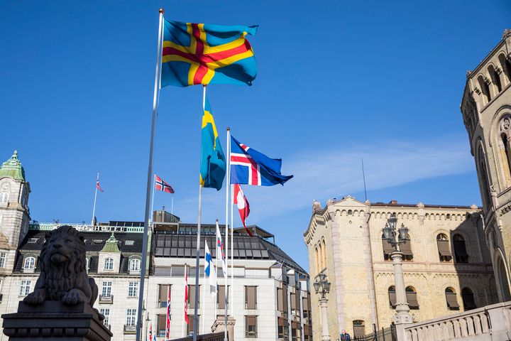 Onsdag vil de nordiske flaggene vaie på Løvebakken i anledning Nordens dag. Foto: Stortinget