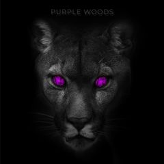 Singelcover for «Purple Woods»
