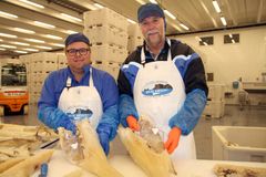 Brødrene Berg AS på Værøy er prosjektleder i forskning som forhåpentligvis vil forlenge lagringstiden på tørrfisk og dermed resultere i en jevnere og bedre kvalitet på all lutefisken som produseres. Foto: Sjurdur Joensen © Nofima