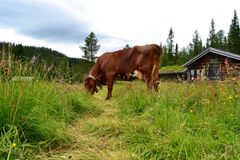 Foto: Nordbø gard og stule