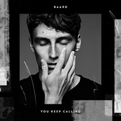 BAARD artwork You Keep Calling