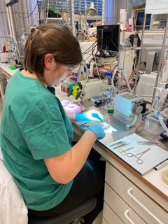 May-Kristin Torp utfører eksperimenter på laben på Domus Medica.